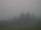 19 : 45