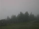 19 : 49