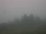 19 : 53