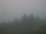 20 : 03