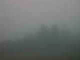 20 : 15