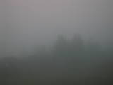 20 : 19