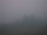 20 : 31