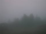 20 : 35