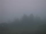 20 : 55