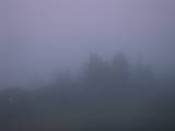 21 : 13