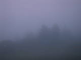 21 : 17