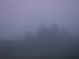 21 : 25