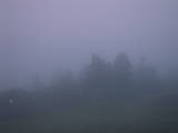 04 : 49
