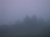 04 : 53