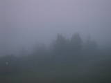 05 : 01