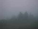 05 : 05