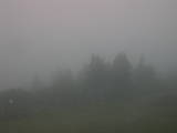 06 : 13