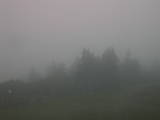 06 : 33