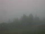 06 : 39
