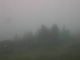 06 : 59