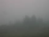 07 : 11