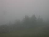 07 : 29