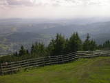 17 : 25