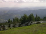 17 : 41