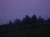 04 : 17