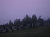 04 : 21
