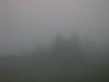 05 : 49