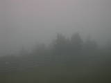 06 : 05