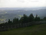 17 : 29
