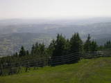 16 : 29