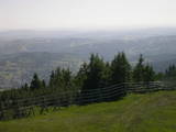 16 : 37