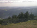 17 : 17