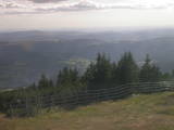 17 : 29