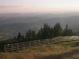 19 : 25
