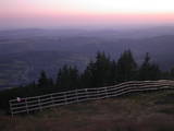 20 : 35