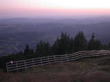 20 : 37
