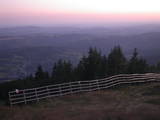 20 : 38
