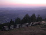 20 : 41