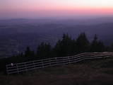 20 : 45