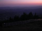 20 : 49