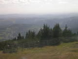 16 : 29