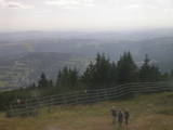 16 : 33