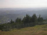 17 : 29