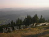 19 : 25