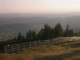 19 : 29