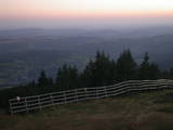 20 : 19