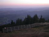 20 : 31