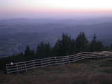 20 : 38