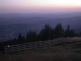 20 : 41