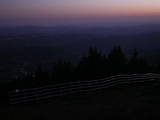 20 : 49